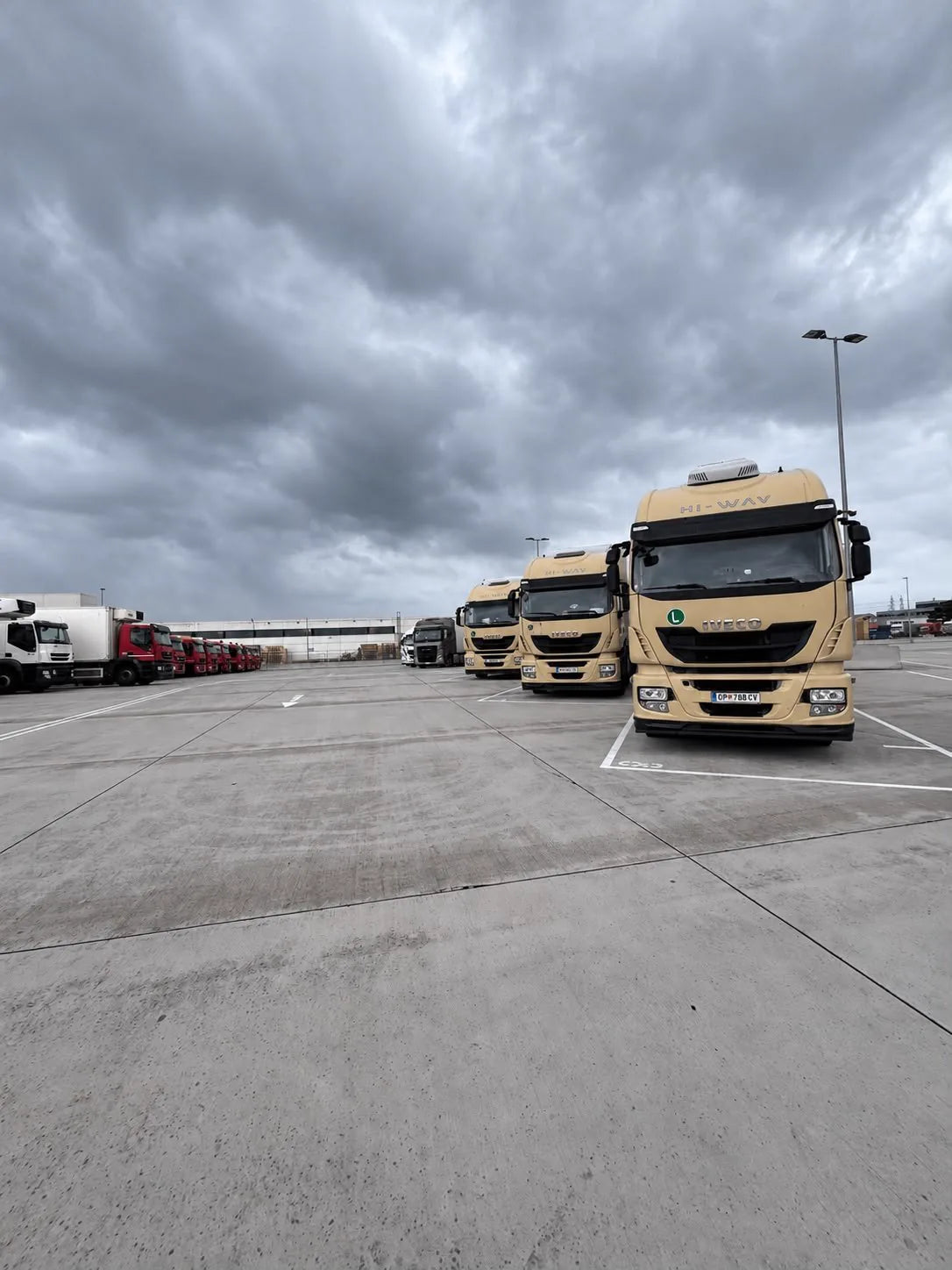 Beigefarbene Iveco-Sattelzugmaschinen der BEHA-Flotte nebeneinander auf dem Betriebshof